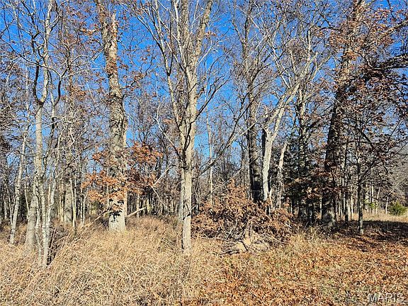 3rd image of 0 County Road 197 Tract #7