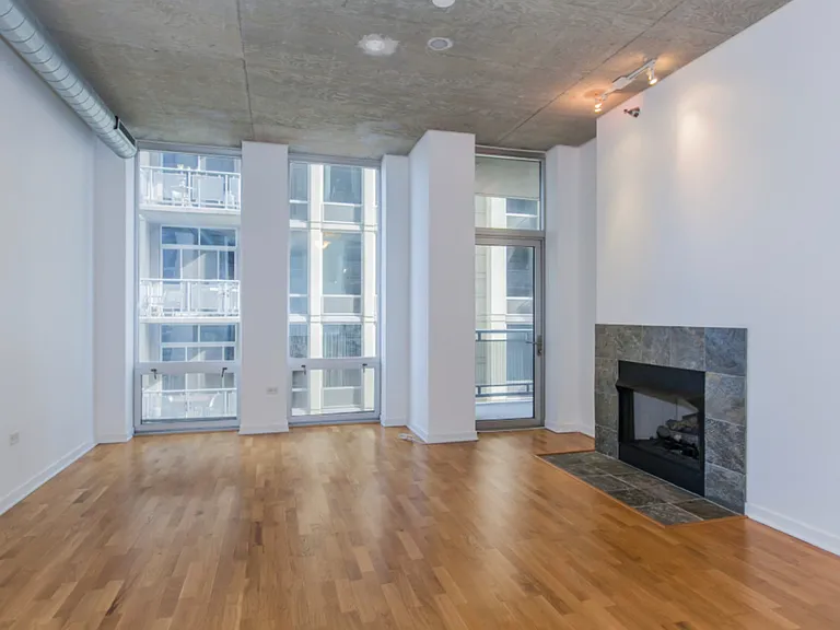 700 N Larrabee St #1003 — Photo 7