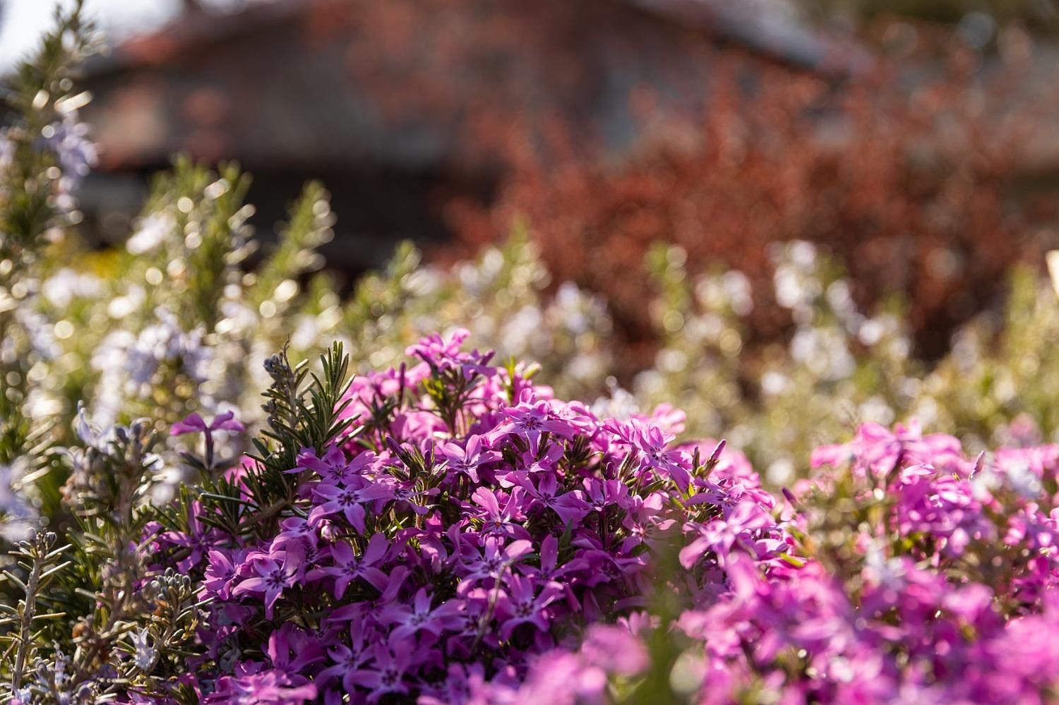 13956 Strawberry Cir, Penn Valley, CA 95946 Zillow