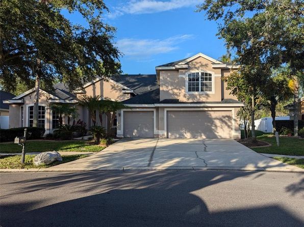 19116 Nature Palm Ln, Tampa, FL 33647