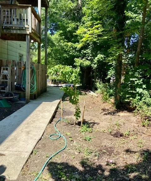 3801 Greenmount Ave #2A — Photo 18