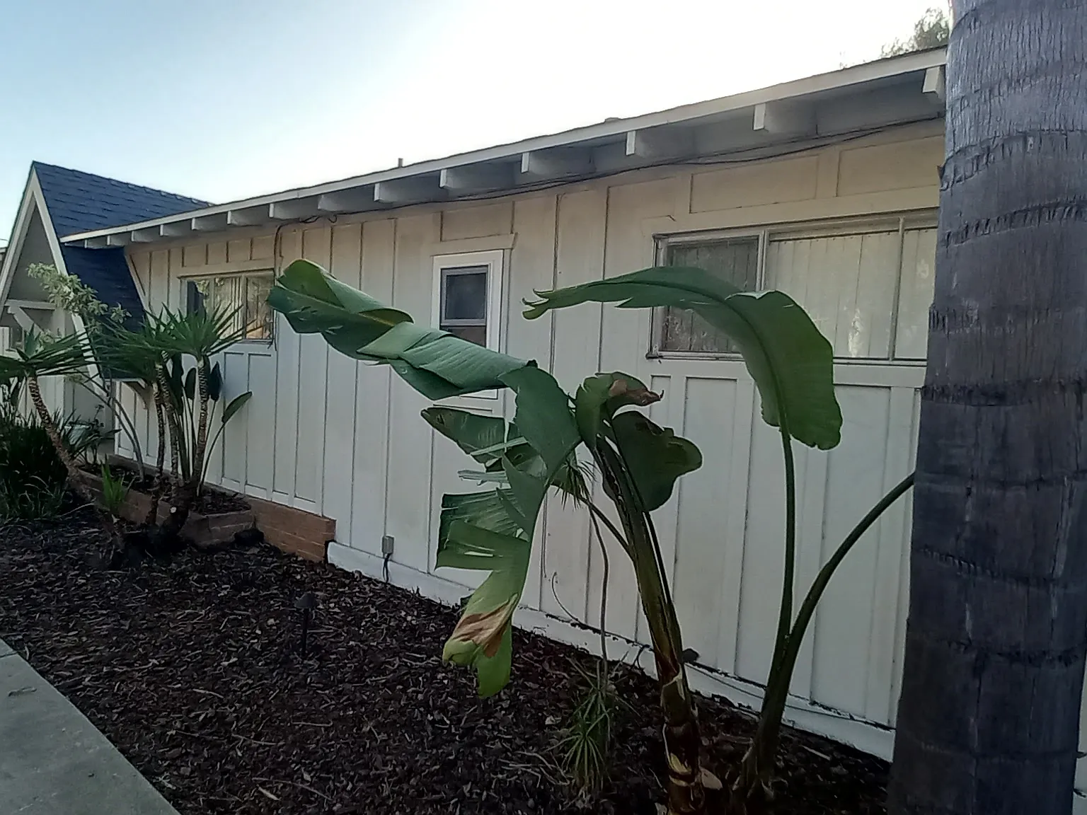 3 bed, 1550 sqft, $3,350 — Photo 3