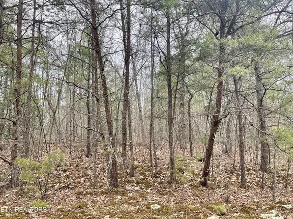 327 Bainbridge Rd Lot 470, Crossville, TN 38558