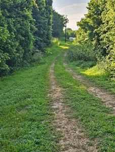 1624 Shiloh Rd, Covington, TN, 38019