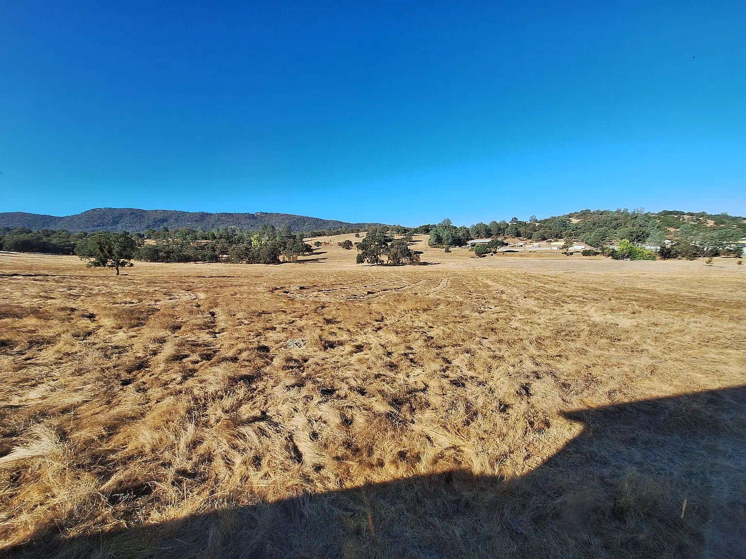 371 Luddy Ln — Photo 4