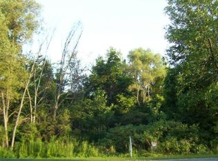 262 E Ash St, Cedar Springs, MI 49319