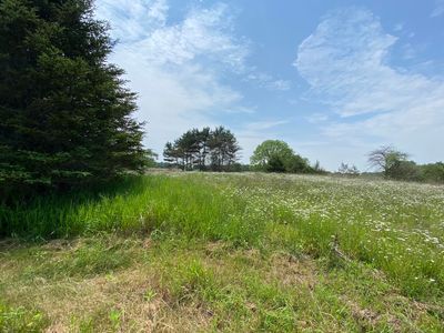 7020 Hillman Rd, Six Lakes, MI, 48886