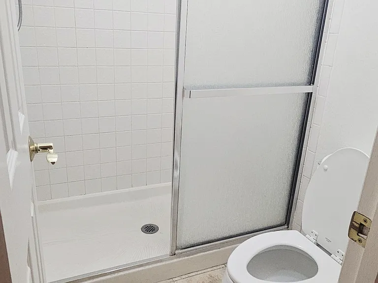 Primary Shower