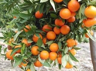 45860 Calle Cuero, Temecula, CA 92590