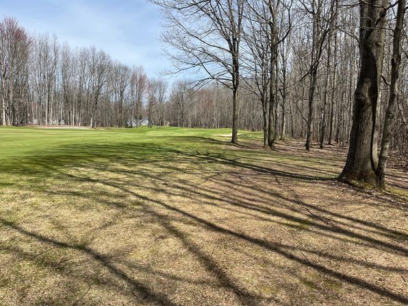 59 Knapp Rd, Houghton Lake, MI 48629