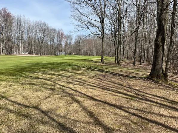 59 Knapp Rd, Houghton Lake, MI 48629