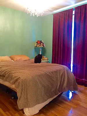 Rented by Fiddler Realty | media 25