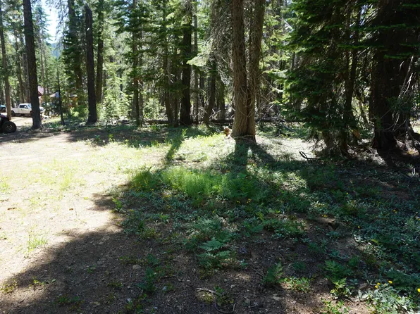 1278 Cleghorn Dr, Quincy, CA 95971
