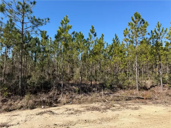 0 Elmer Thrift Rd, Waycross, GA 31503