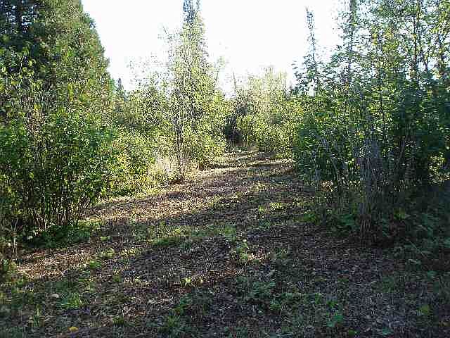 1st image of 2663 Highway 61 LOT 5 TIMBER CREST