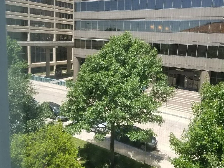 Another view
