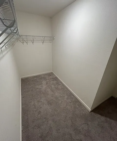 7404 Cottontail Clf — Photo 15