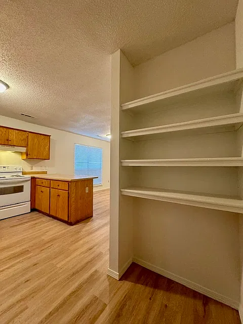 808 S Green Point Trace - 1 — Photo 2