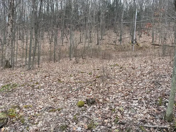 (undisclosed Address), Millerton, PA 16936