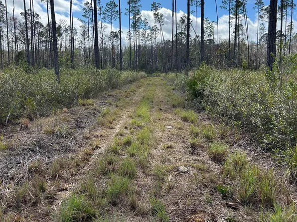 0 SW Oregon Trl, Greenville, FL 32331