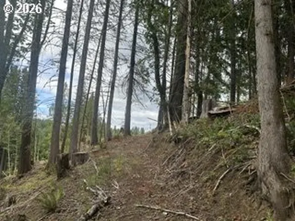 H St, Vernonia, OR 97064