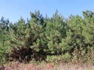 15 Farmville Rd #4, Meherrin, VA 23954