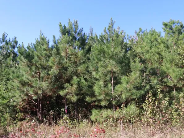 15 Farmville Rd #4, Meherrin, VA 23954