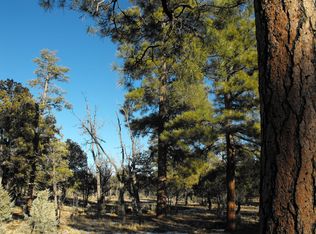 2328 Deer Path, Happy Jack, AZ 86024