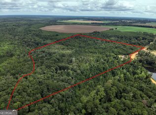 272 Merritt Mill Pond Rd, Shellman, GA 39886