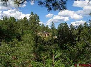 886 Silver Mesa Driveway, Durango, CO 81301