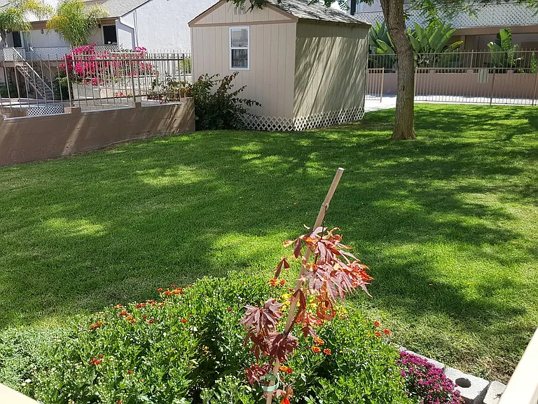 4170 Mount Alifan Pl #J — Photo 11