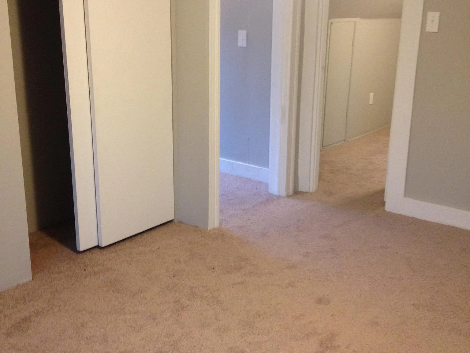 2 bed, 650 sqft, $1,000 — Photo 3