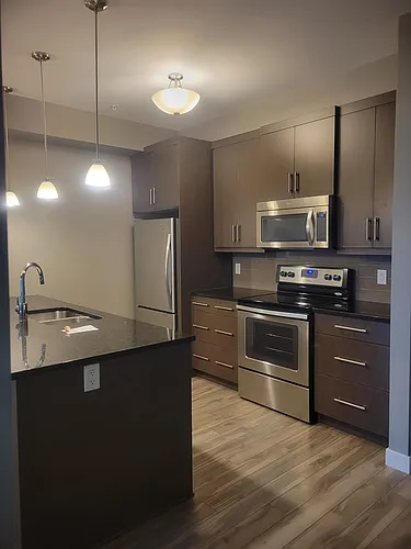 3411 Pembina Hwy #203 Photo 1