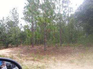 3485 W Webster Pl, Citrus Springs, FL 34433