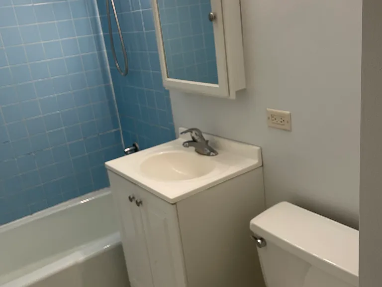 10232 S Kenton Ave #201 — Photo 7
