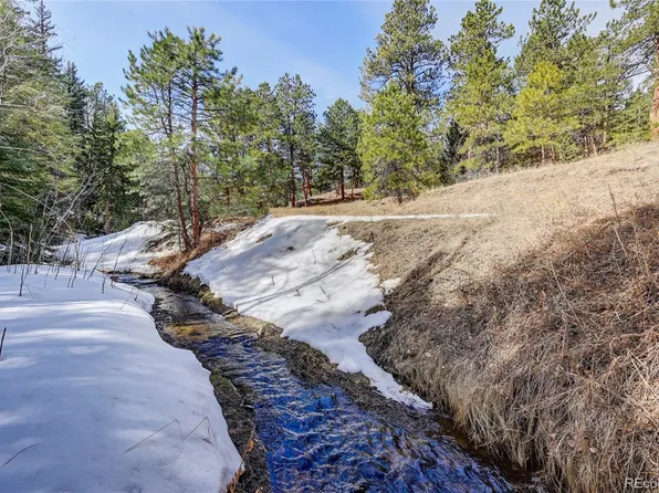 VL-013 Larkspur Drive, Evergreen, CO 80439