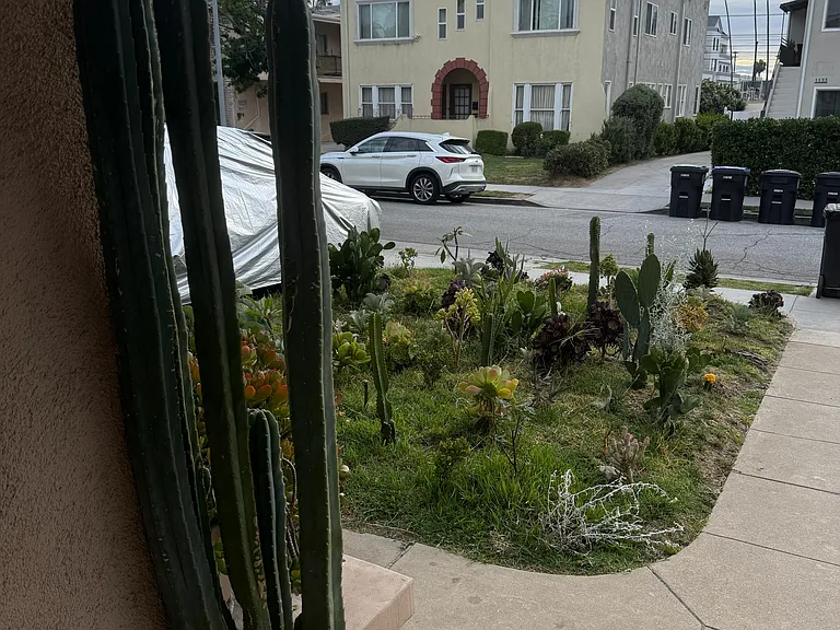 N Maryland Ave — Photo 3