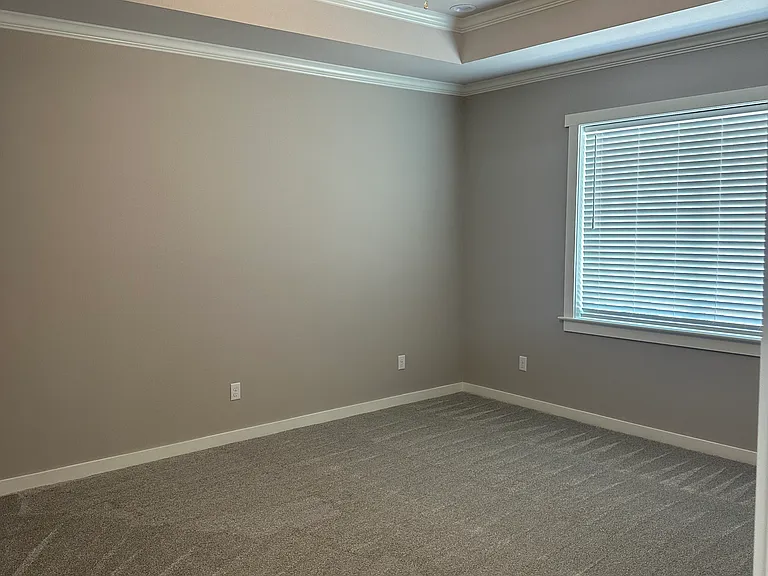 5038 Shefflera Dr — Photo 9