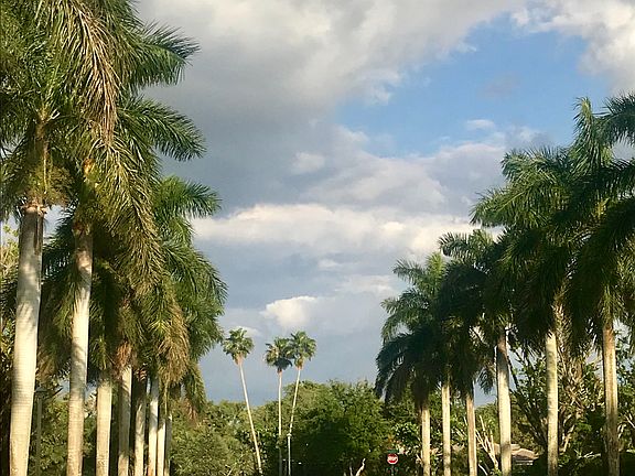 Entrance To Community