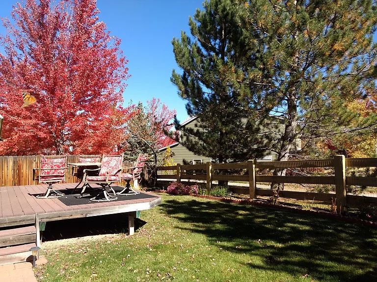 3116 Goldeneye Pl — Photo 16