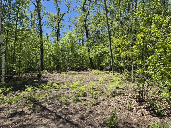 187-188 Primrose Trl, Gaylord, MI 49735