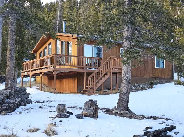 394 County Road 14a, Fairplay, CO 80440