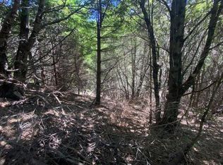 247 Muskrat Cir, Whitethorn, CA 95589