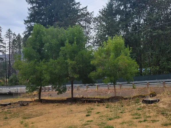 11297 Pioneer Rd SE, Lyons, OR 97358