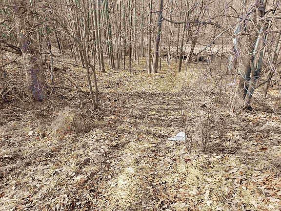 4th image of Bialozynski Rd #1