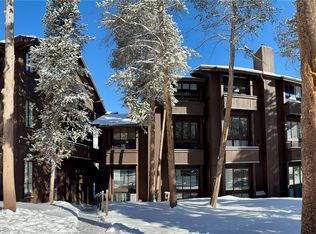 78 Guller Rd #303, Frisco, CO 80443