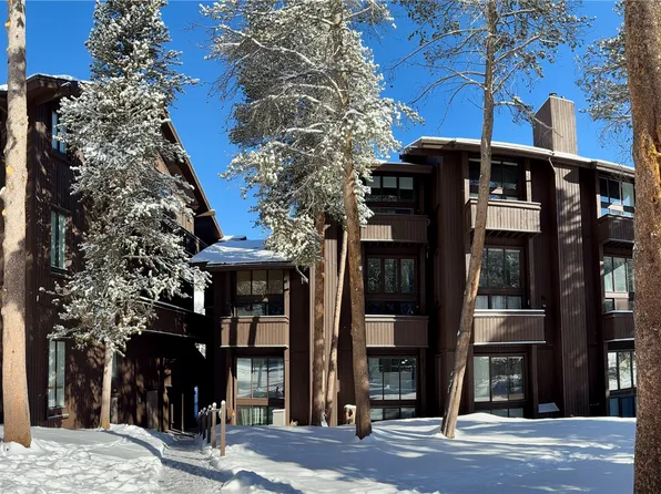 78 Guller Rd #303, Frisco, CO 80443