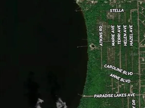 131 Garrison Ave Lot 16, Georgetown, FL 32139