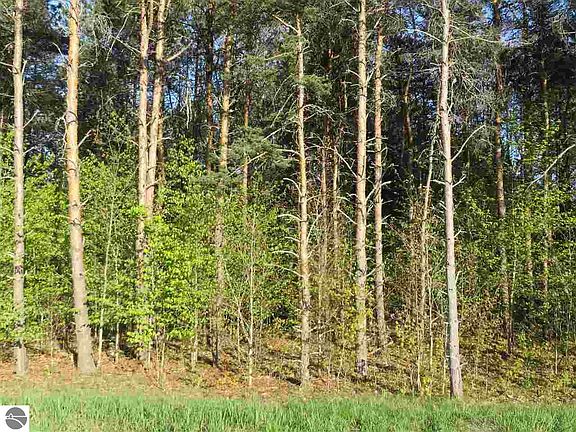 5th image of 90 Betsie Creek Dr