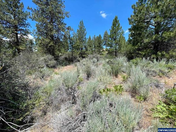 LOT 21 Legget Dr, Chiloquin, OR 97624